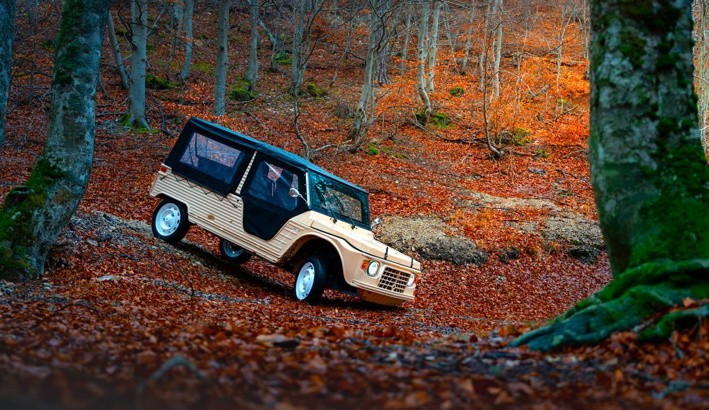 eStory_aznom_17-SITE